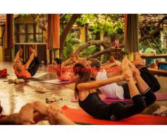 100 Hours Yoga Teacher Training In India