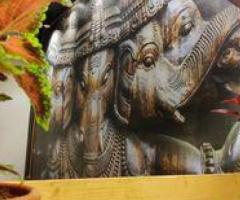 Best Interior Designers in Kurnool | Ananya Group of Interiors in Kurnool
