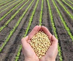 Davis Feed & Farm Supply