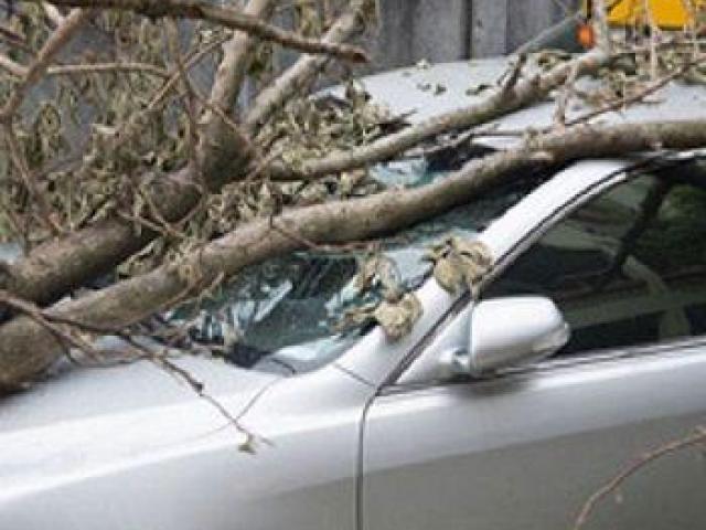 Allstate Insurance Agent: Frank Perez