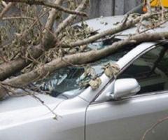 Allstate Insurance Agent: Frank Perez