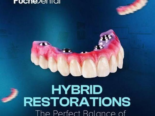 Puche dental