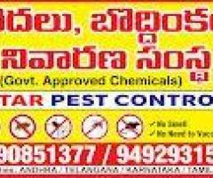 Affordable Anti Termite Pest Control Near Me || Star Pest Control