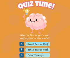 Enhancing Learning with Online Quiz for Class 7