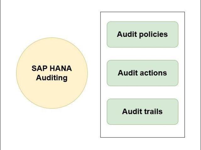 SAP S/4 HANA Audits
