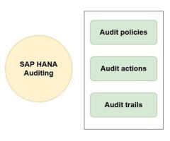 SAP S/4 HANA Audits