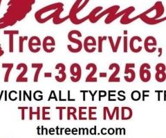 The Palms Tree Service, Inc.