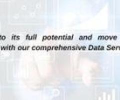 Revolutionize Your Data Management with Castelo Services!
