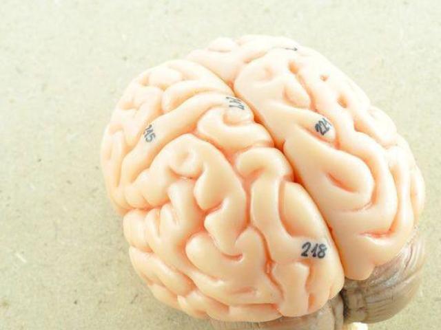 Westcoast Neurology