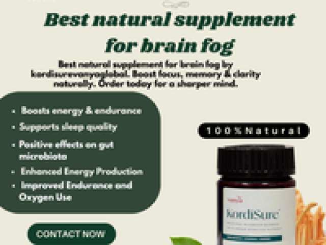 Best Natural Supplement for Brain Fog – Regain Mental Clarity Naturally