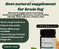 Best Natural Supplement for Brain Fog – Regain Mental Clarity Naturally