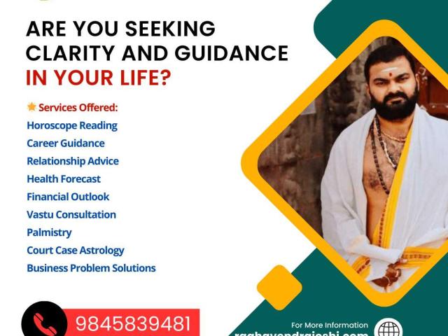 Best Astrologer in Silk Board Bangalore | Raghavendrajoshi.com