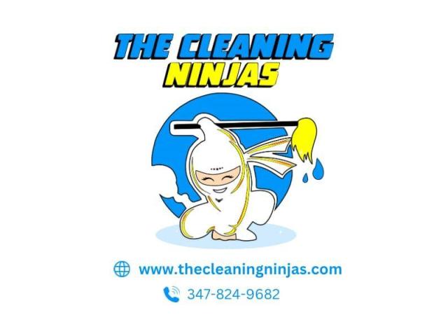 The Cleaning Ninjas Inc