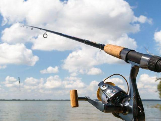 Delta BASSN' Guide Service