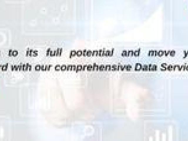 Revolutionize Your Data Management with Castelo Services!