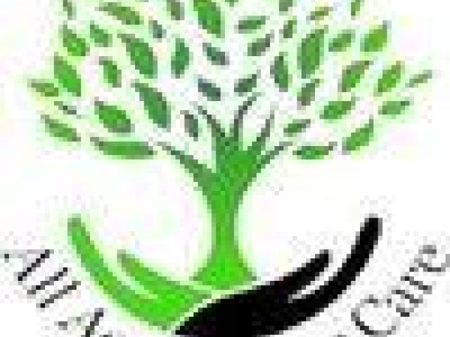 Emergency Tree Removal Clairemont, CA