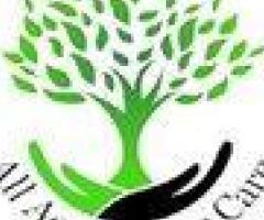 Emergency Tree Removal Clairemont, CA