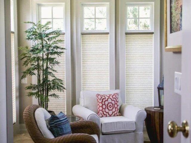Motorized Blinds for Arches