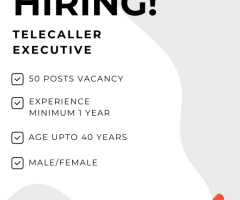 Hiring 50 Tele callers Immediately