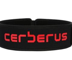 Shop Highly Supportive Weightlifting Belts