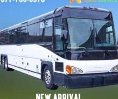 Kitchener Party Bus