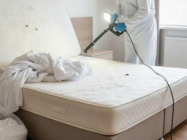 Best Pest Control Services in Hyderabad – AJL Pest Control