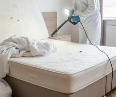 Best Pest Control Services in Hyderabad – AJL Pest Control
