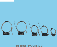 GPS Collar Tracking Devices For Accurate Real Time Updates