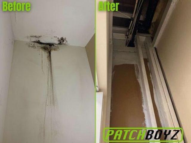 PatchBoyz Mold Removal - Asbestos & Restoration