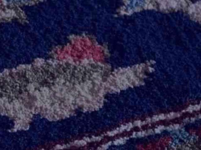Carpet Cleaning Orlando for Deep Fresh Results