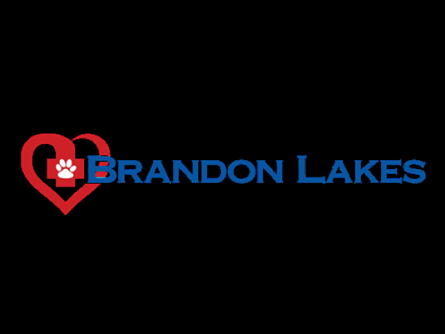 Brandon Lakes Animal Hospital
