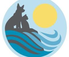 Del Mar Heights Veterinary Hospital