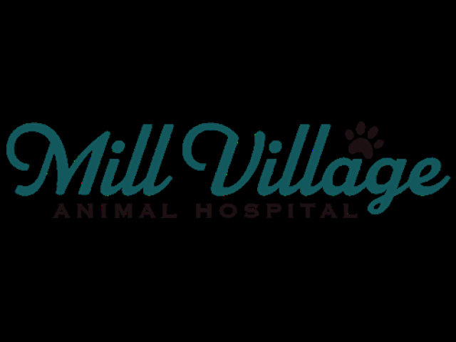 Mill Village Animal Hospital