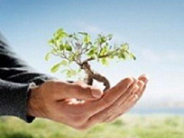 Hunnicutt Tree Service