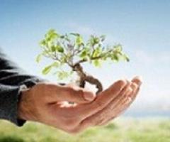 Hunnicutt Tree Service