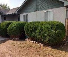 Complete Yard Service