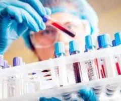 Wafid (Gamca) Medical Appointment Hyderabad | Wafid India