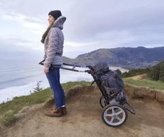 Outdoor Travel Cart