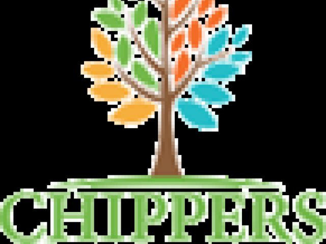 Common Reasons Homeowners Remove Trees in Dallas