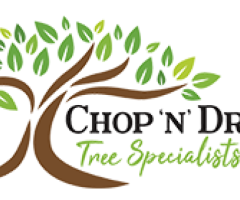 Looking For Experts In Tree Removal Services In Hunter Valley?
