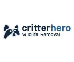 Critter Hero Wildlife Removal Niagara Falls