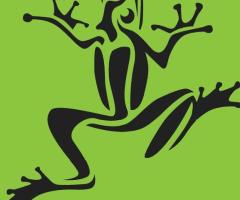 LeapFrog Promotions