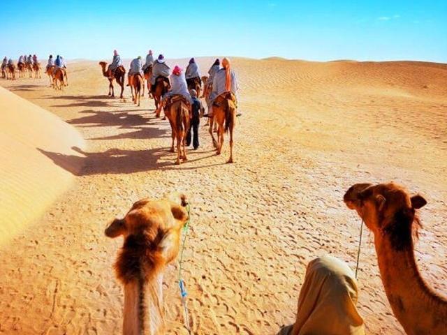 Desert Tour Of Rajasthan