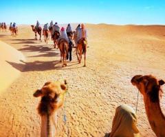 Desert Tour Of Rajasthan
