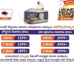 Best Flies and Spider Pest Control Services in Kurnool