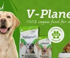 Plant Based Dog Food Dubai