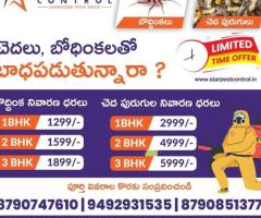Best Rodent Removal Solutions in Kurnool