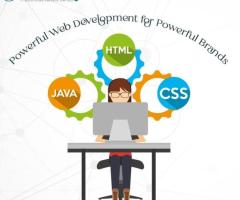 Custom Website Design and Development Services
