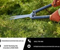 Affordable Landscaping and Garden Maintenance in Wollongong