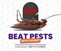 Mosquito Spray Services Near Me || Star Pest Control